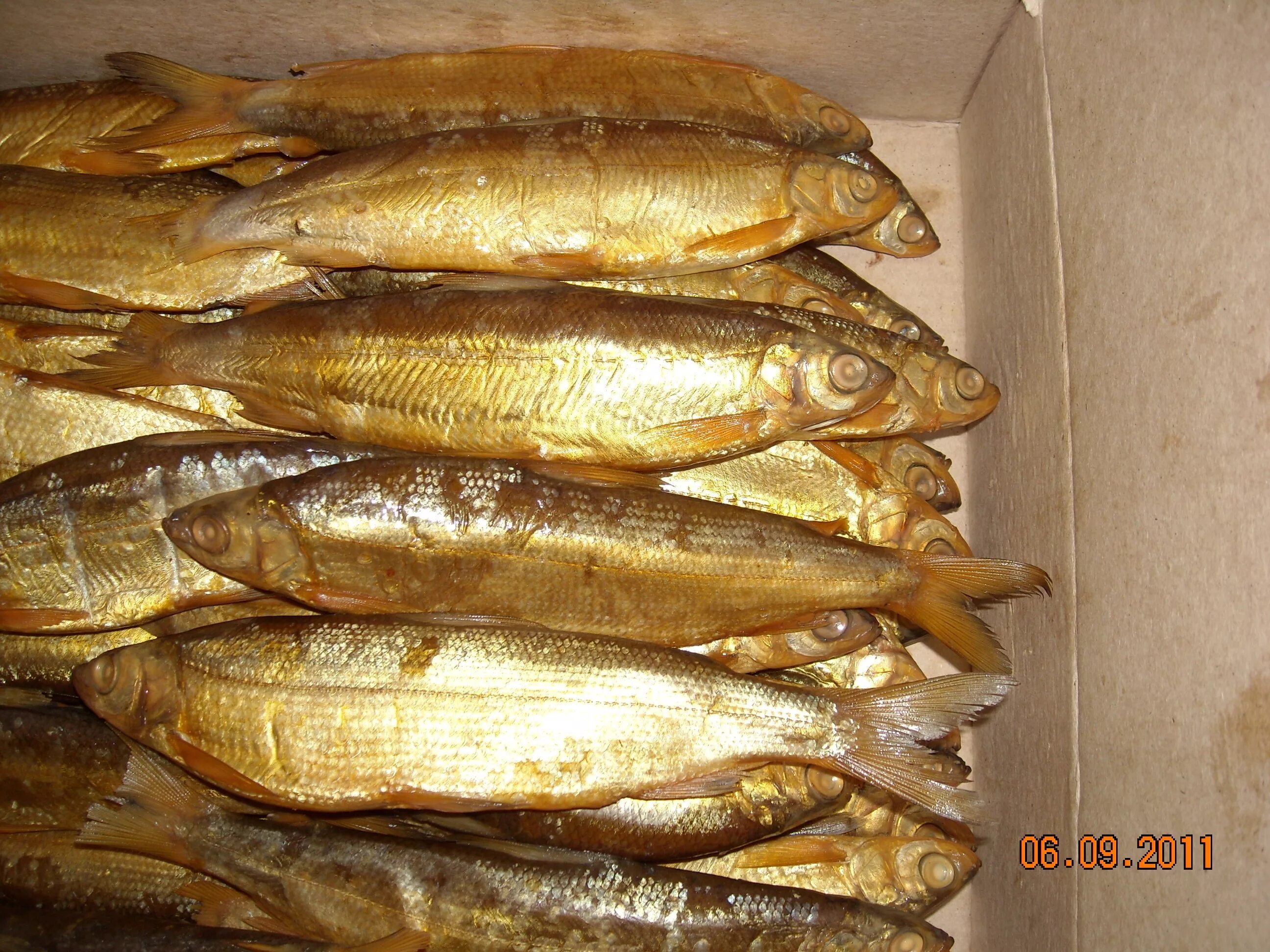 муксун теша х/к. пелядь рыба копченая. молоко рыба копченая. молоко рыба копченая. сибирская пелядь.