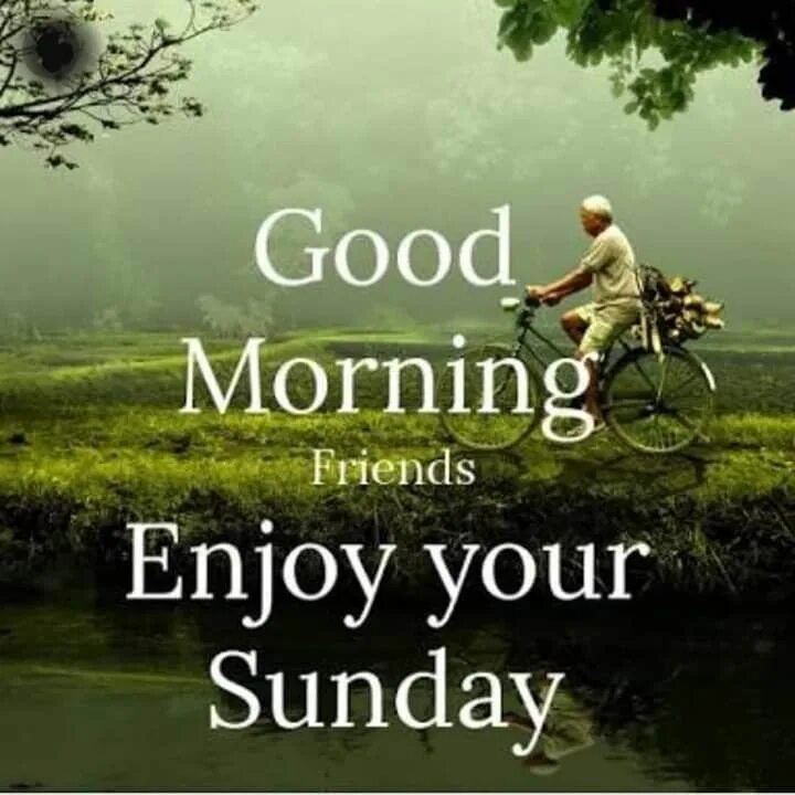 Good morning Happy Sunday. Sunday morning. Enjoy your Sunday. Easy like Sunday morning. Easy like go