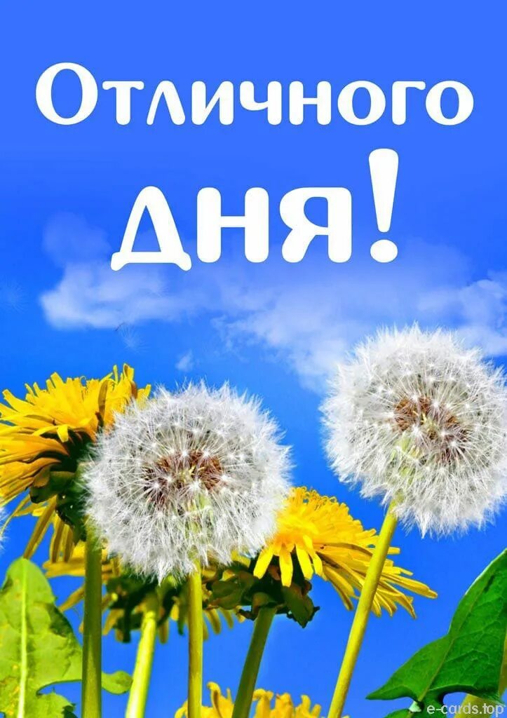 Доброе утро скоро май. Открытки с добрым утром. доброе утро позитив. доброе утро картинки позитивные. открытки жизнь прекрасна с добрым утром.