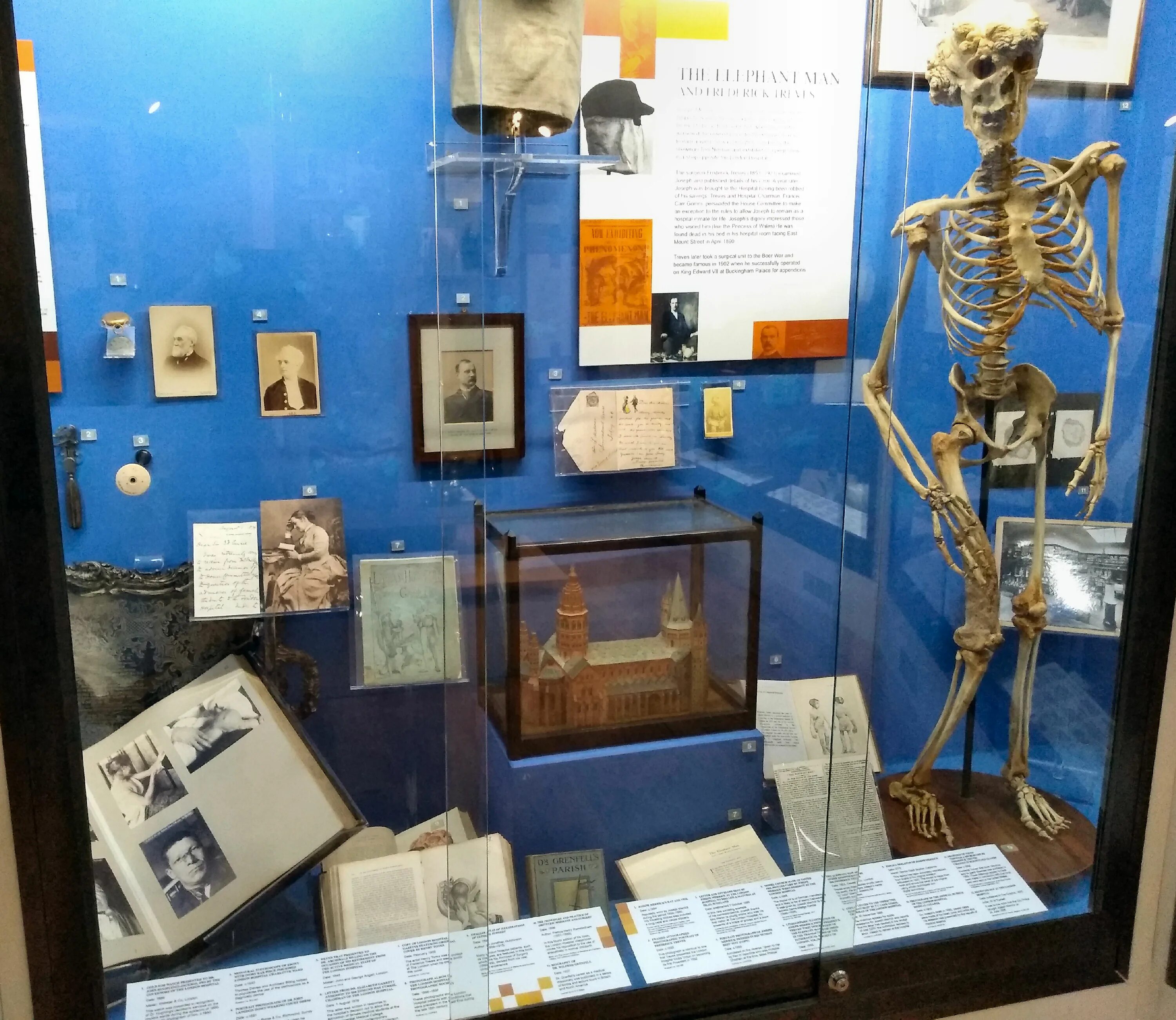 The museum is the hospital
