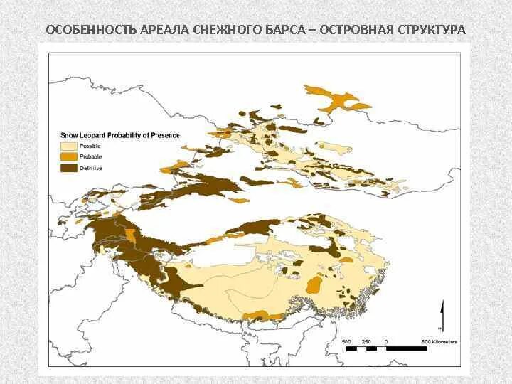 Ареал обитания ирбиса в России. Снежный Барс ареал обитания в России. Ареал обитания снежных Барсов. Ирбис ареал обитания на карте. Поддержка сохранения численности снежного барса