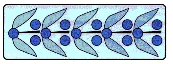 Копирование фрагментов информатика 7 класс. Орнамент в графическом редакторе. Орнамент в графическом редакторе Paint. Узоры в паинте. Планируем работу в графическом редакторе.