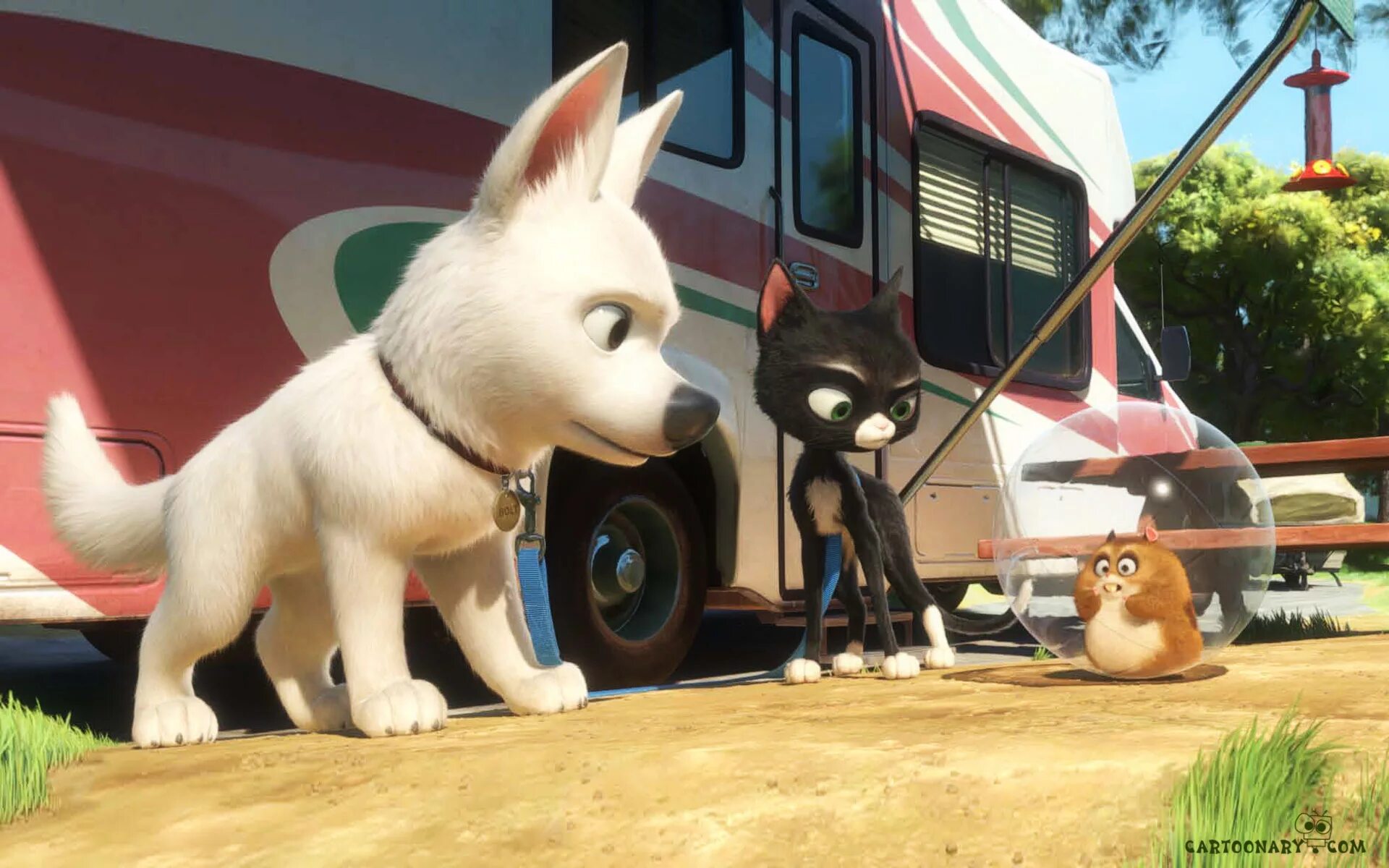 Вольт полностью. Вольт полностью. Вольт полностью. Вольт. Вольт 2 варежка.