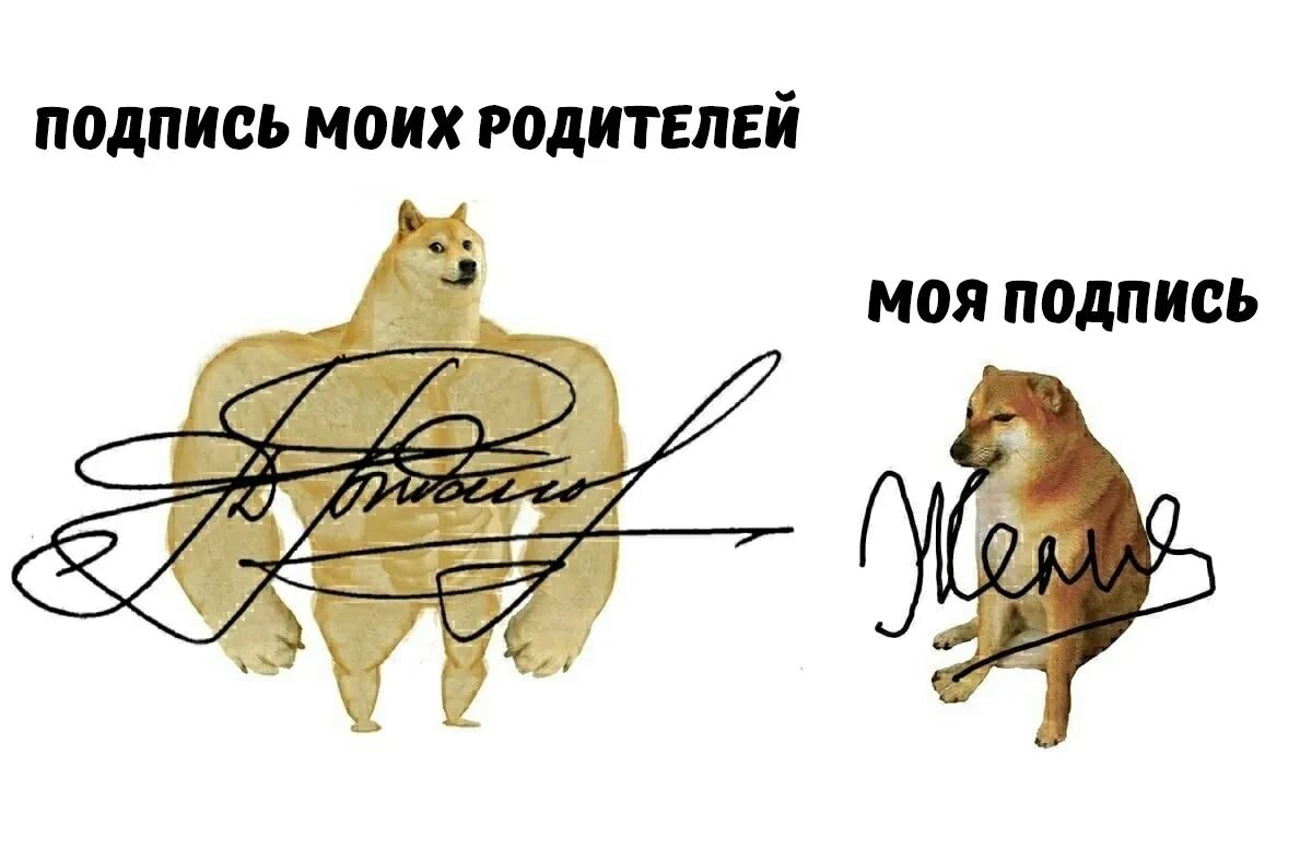 Оригинальные подписи. Подпись. Роспись или подпись как правильно. Подпись роспись словосочетания. Подпись с котиком.