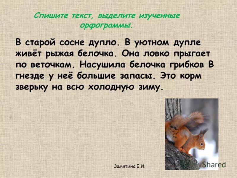 однокоренное проверочное слово к слову пастух. предложение со словом леса. предложение со словом лес. единообразное написание корня в однокоренных словах. спиши слова сосна.