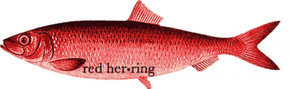 Red herring. Красная сельдь. Атлантическая селедка красная. Селедка под красную рыбу. Сельдь красного цвета.