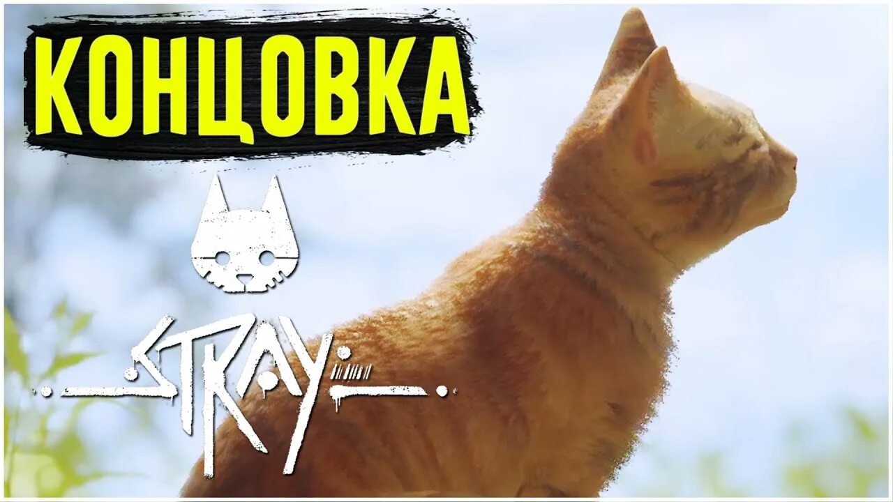 Stray игра концовка. Рыжий кот Stray. Stray котик концовка город. Концовка стрей