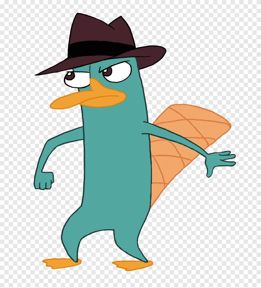 Perry the platypus