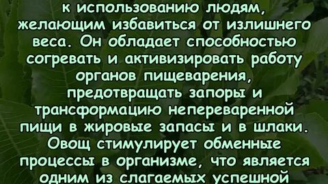 Хрен свойства для организма человека