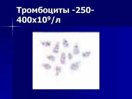 400 250