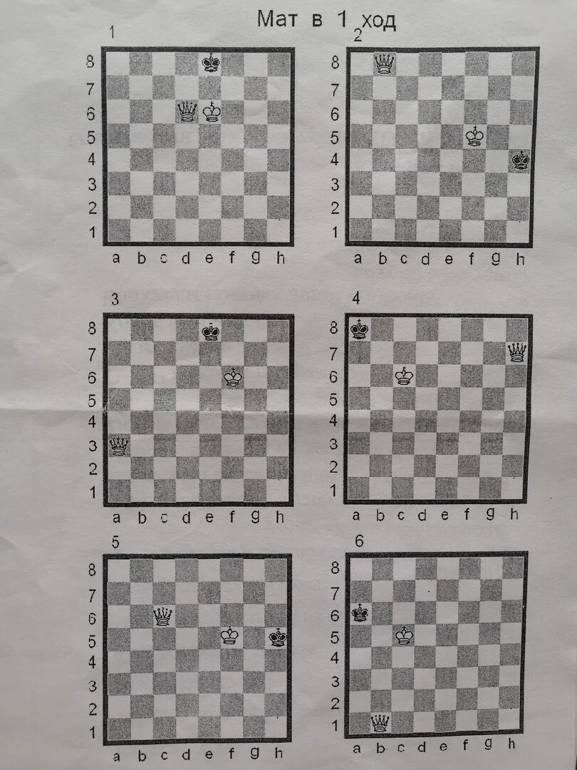 Мат комбинации. Шахматные этюды мат в 1 ход. Задания по шахматам мат в 1 ход. Шахматы мат в 1 ход задачи для начинающих. Задачи по шахматам для детей мат в 1 ход.
