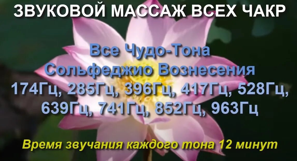 174 герца слушать. Звуковой массаж всех чакр. Звуковой массаж всех чакр чудо-тона. 174 Гц 285 Гц 396 Гц 417 Гц 528 Гц 639 Гц 741 Гц. 174 Гц, 285 Гц, 396 Гц, 417 Гц, 528 Гц, 639 Гц, 741 Гц, 852 Гц, 963 Гц.