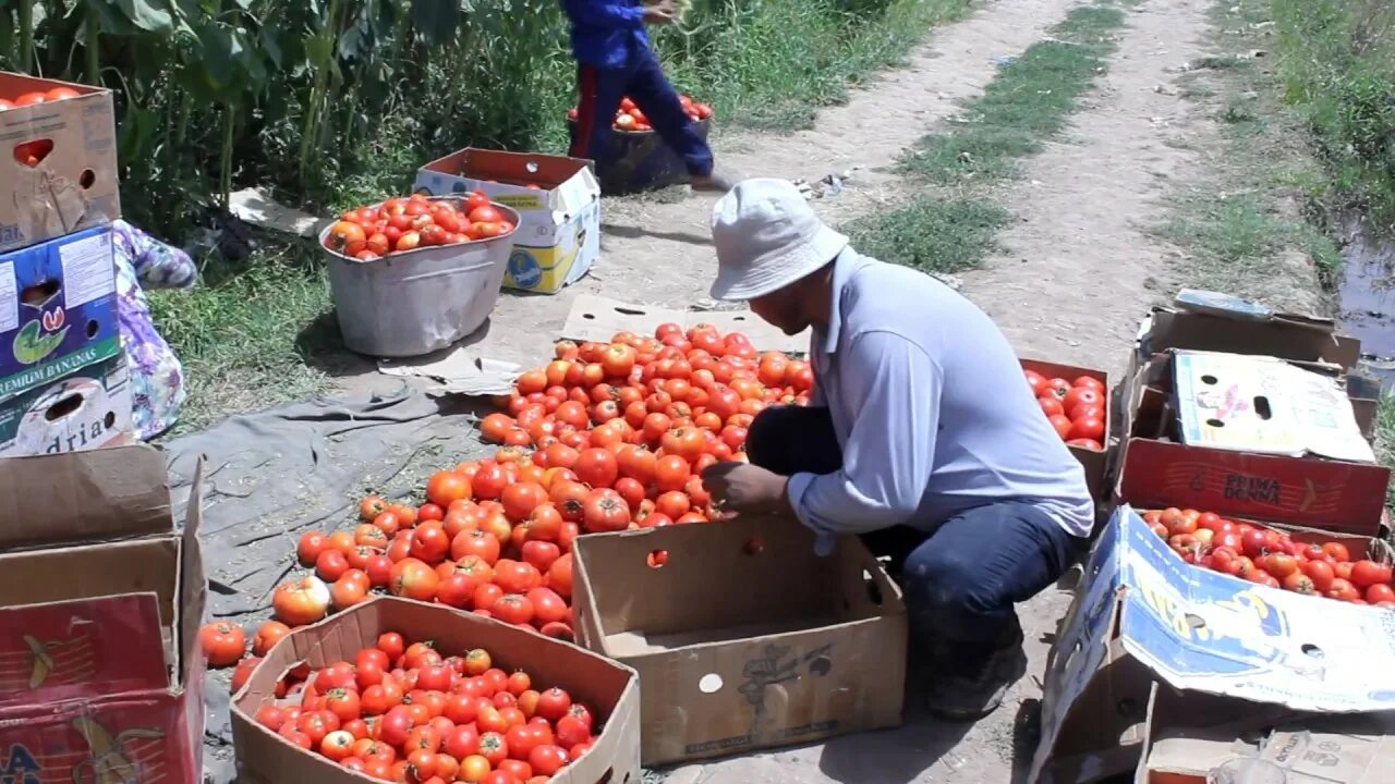 Погода шахринав на 10 дней точный. Город Шахринав. Город Турсунзода Таджикистан. Таджикистан Шахринав район. Пагода Шахринав Каратог.