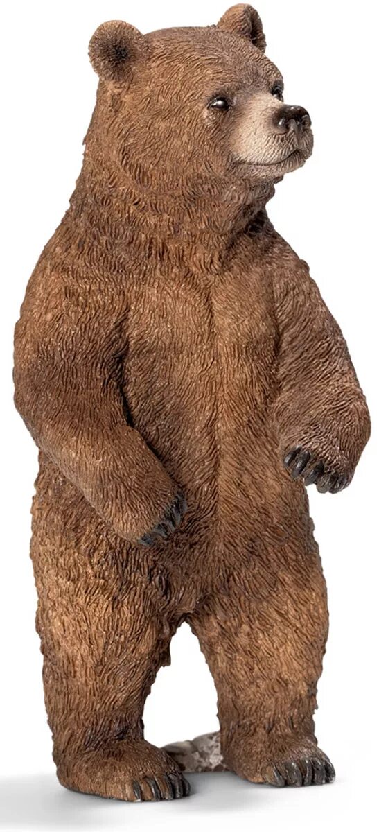 Как называется фигурка медведя. Медведь гризли шляйх. schleich медведица гризли. медведь гризли самка. фигурка &quot;медведь гризли&quot;.