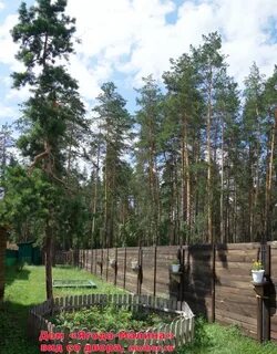 Дом отдыха ягодка во сколько