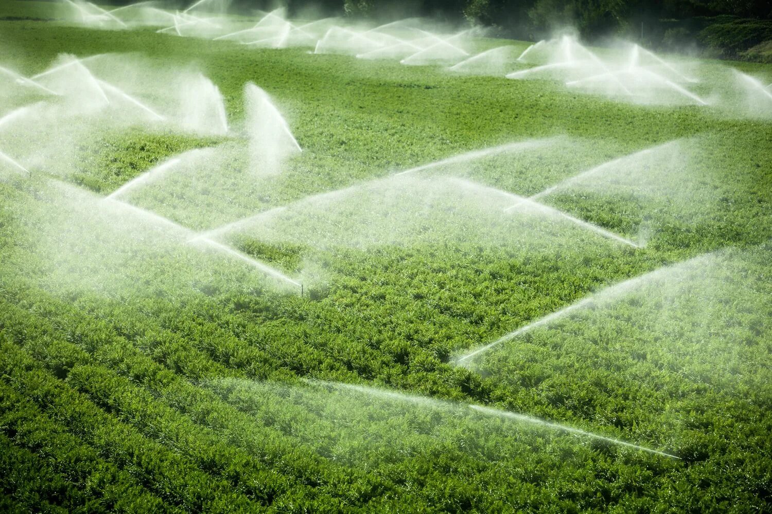 мелиорация орошение почвы. удобрения в сельском хозяйстве. загрязнение водоемов. ирригация капельное орошение. мелиорация земель гидромелиорация.