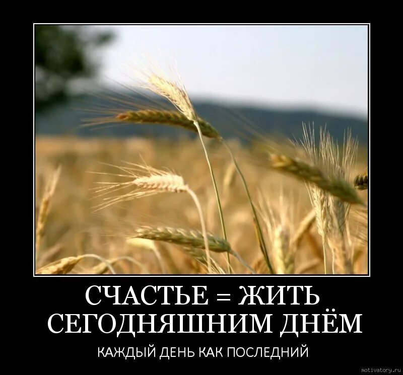 Живите сегодня как последний. Живите сегодняшним днем. Счастье жить сегодняшним днём. Прожитый день. Жить сегодняшним.