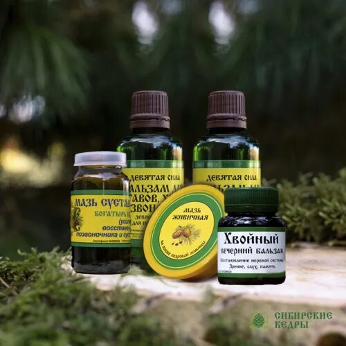 сибирские кедры продукция каталог. ядро кедрового ореха 500г. эко фабрика сибирский кедр интернет магазин. смола кедра живица алтайская 40 гр. продукция сибирские кедры екатеринбург.