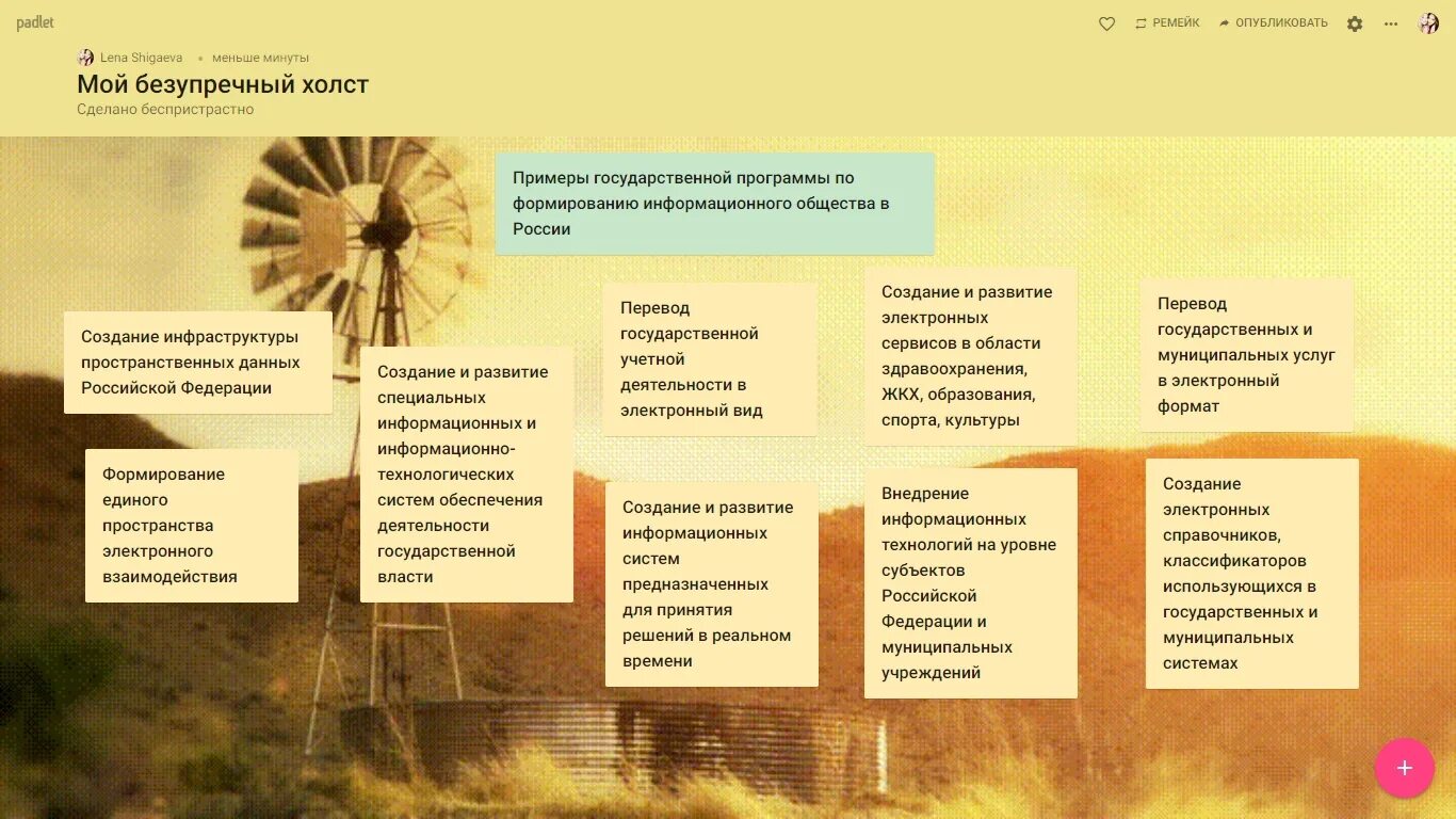 Формирование информационного поля. Национальные информационные ресурсы. институты информационного права.