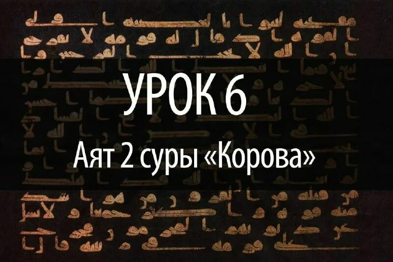 285 286 аяты суры аль бакара. аят 285-286 сура аль бакара. сура бакара аят 285 286. последний аят суры корова. 285 286 аяты суры аль бакара.