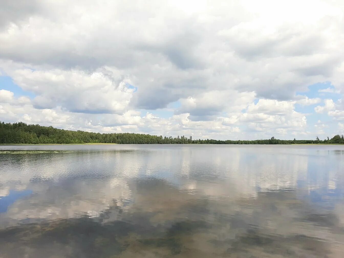 Сегденское озеро рязань. Ласковское озеро рязанская область. Ласковское озеро рязанская область. Белое озеро (рязанская область, северное). Сегденское озеро рязань.