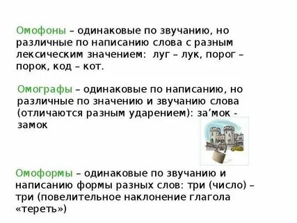 Слова одинаковые по значению и звучанию