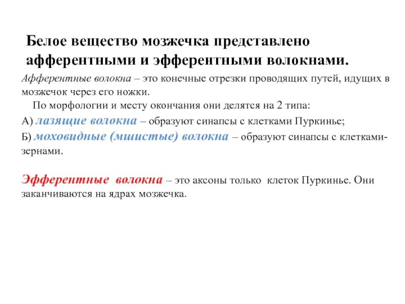 Мозжечок волокна. Афферентные и эфферентные нервные волокна мозжечка. Афферентные и эфферентные нервные волокна мозжечка гистология. Афферентные пути мозжечка гистология. Афферентные пути мозжечка схема.