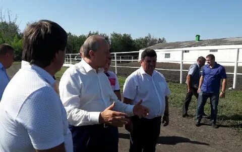 Рп5 святославка саратовская область самойловский