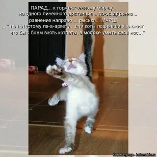 Ать два