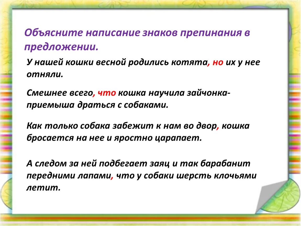 Кошкин выкормыш изложение. Изложение у нашей кошки родились котята. У нашей кошки весной родились котята но их у неё отняли изложение. Изложение кошка выкормыш. Не готов объяснение написания