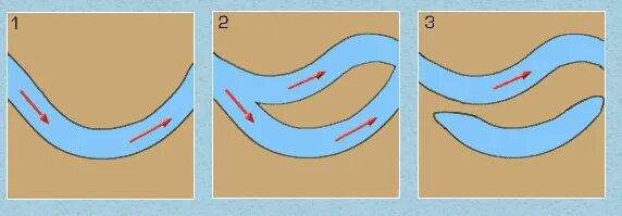 Изменение реки. Образование старицы реки. Старицы образуются. Изменение русла реки. Старица реки схема.