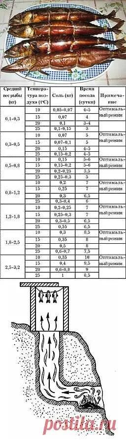 При какой температуре горячее копчение рыбы. Холодное копчение окуня таблица. таблица копчения продуктов холодного копчения. таблица холодного копчения рыбы. температура копчения скумбрии холодного копчения.