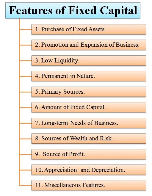 Fixed definition. Fixed capital. fixed capital image. sale of fixed assets with capital gains. capital productivity ratio of fixed assets in the reporting year.