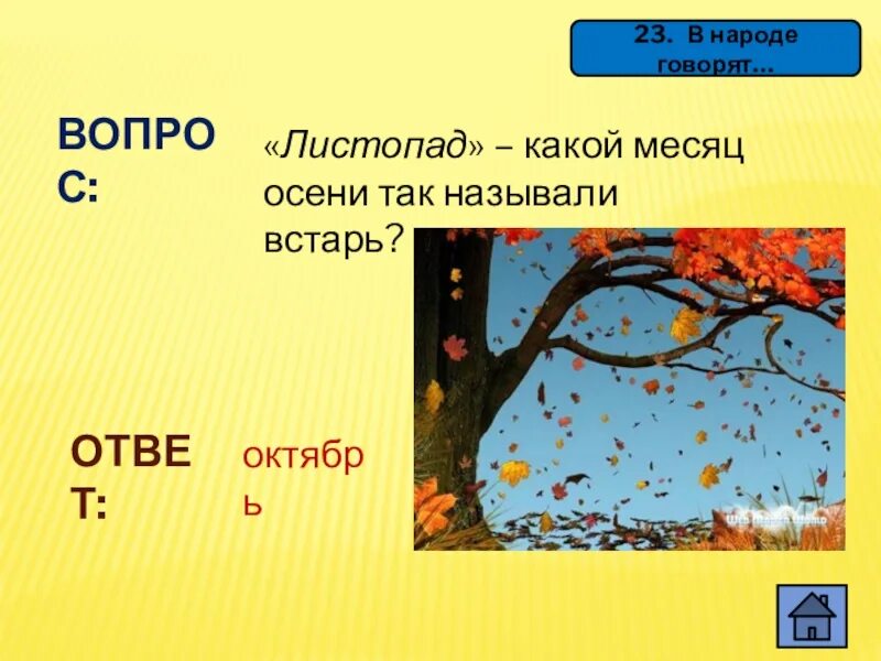Название месяцев в народе. Вопросы про листопад. листопад месяц. листопад название. осень какие месяца.