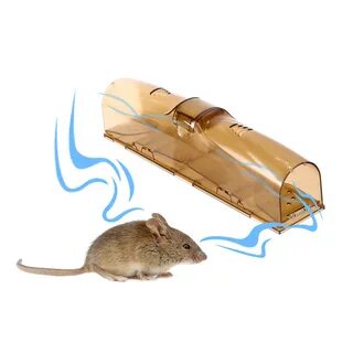 Mouse trap