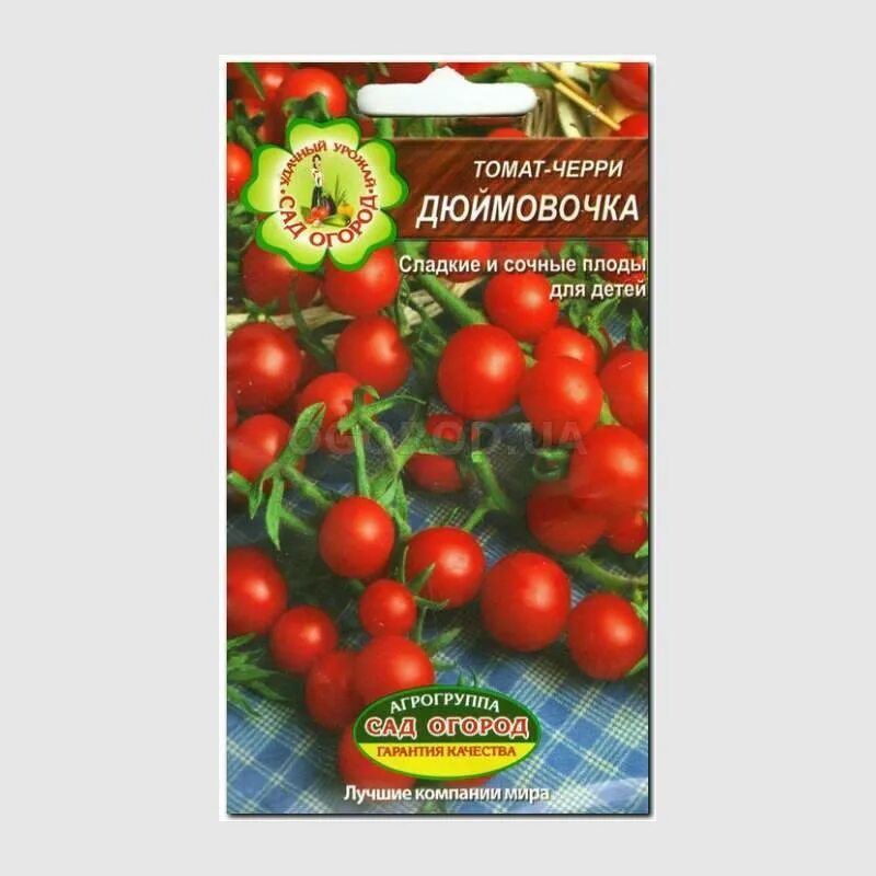 Семена помидоры дюймовочка. Томат дюймовочка характеристика. Семена помидоры дюймовочка. Помидоры дюймовочка описание сорта. Томат дюймовочка отзывы.