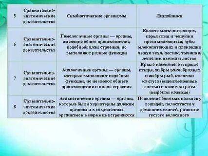Органы сходные по функциям