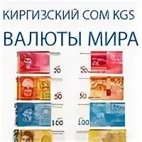 Киргизский сом это