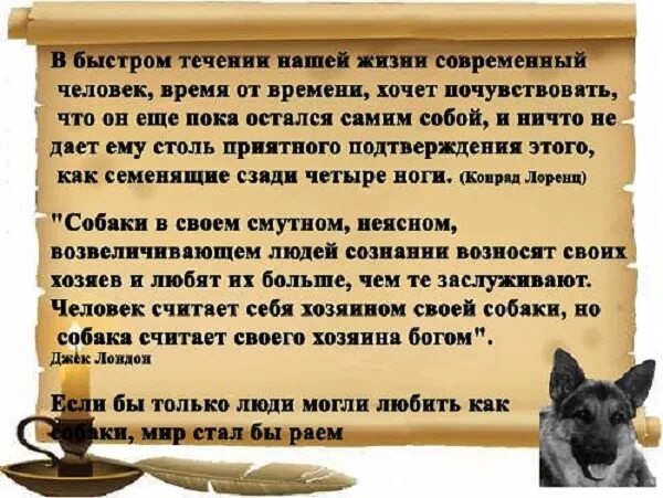 Собака ушла из жизни
