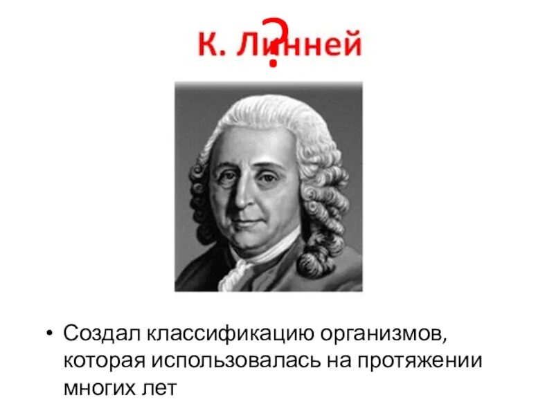 Благодаря этому методу были заложены основы систематики
