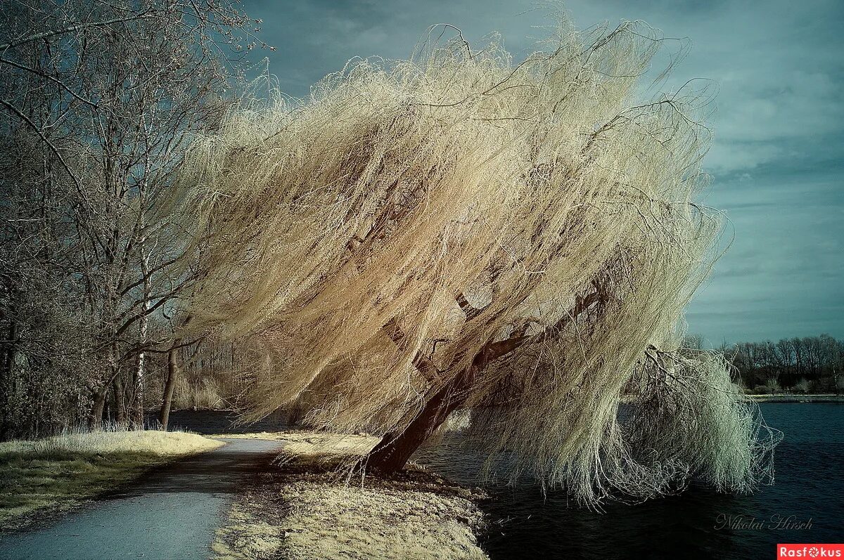 Ветер картинка. Ветров фотографии. Ветер в природе. Природные стихии. Ветер в поле.