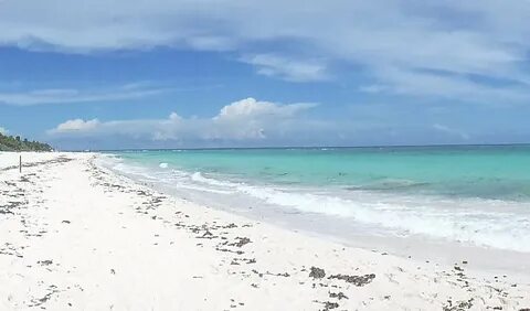 Playa las