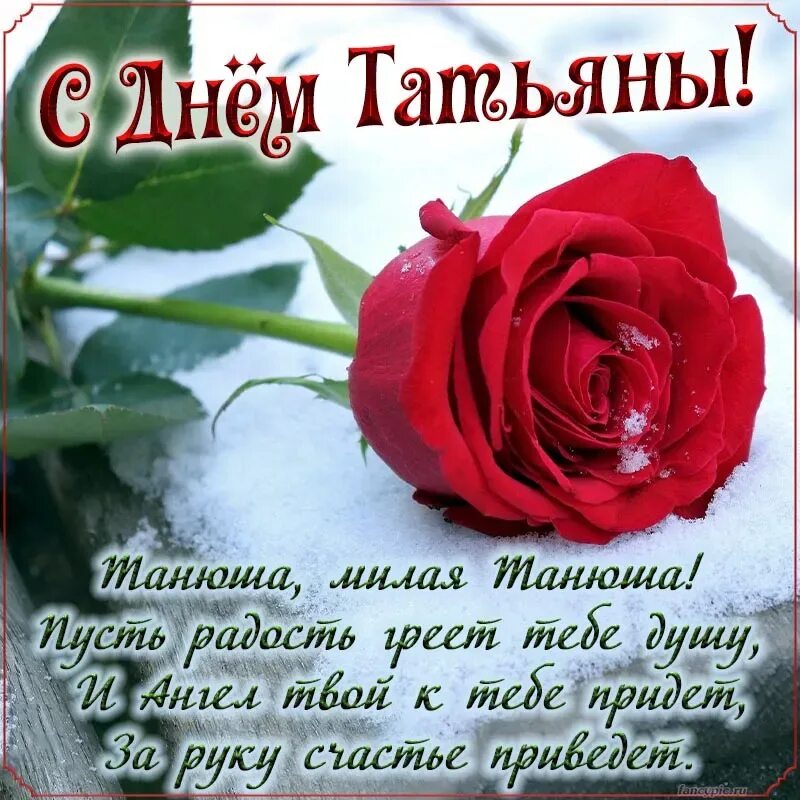 Красивое поздравление с днем татьяны трогательное. С днем танюшки. день татьяны 2025. с днем татьяны. танюшка с днем ангела.