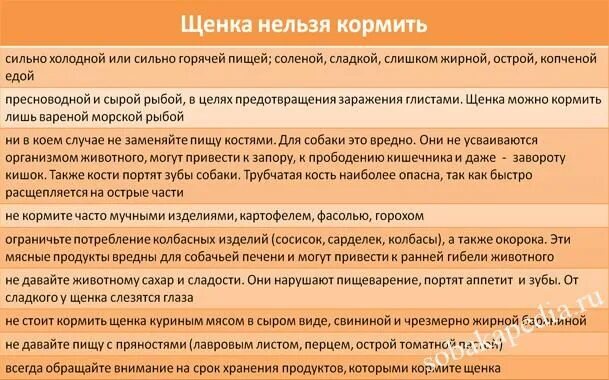 Меню щенка на день. Рацион щенка немецкой овчарки щенка 2 месяца. как кормить 1 месячного щенка. рацион питания щенка немецкой овчарки 1.5. кормление 5 месячного щенка немецкой овчарки.