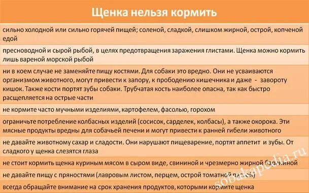 Сколько нельзя давать. Как кормить 1 месячного щенка. Кормление 5 месячного щенка немецкой овчарки. Чем кормить щенка 2 месяца. Чем кормить щенка 3 месяца.