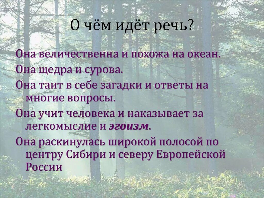 Через два дня васютка как заправский провожатый