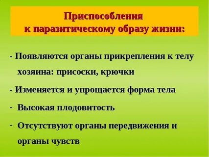 Черты приспособления к паразитическому образу жизни
