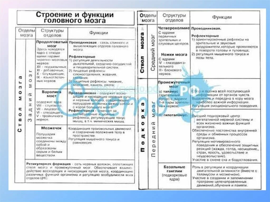 Отделы мозга и их функции 8 класс. Спинной мозг таблица отдел строение функции. Отделы головного мозга и их функции таблица анатомия. Функции структур спинного мозга таблица. Строение и функции головного мозга таблица кратко.