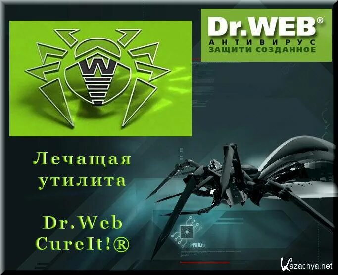 Dr web space. Доктор веб паук. Dr web 2021. Dr web реклама антивируса. Dr.web 4.33а.