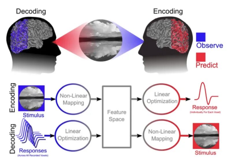 Base32 decode. Decoding. Decoding. Как декодировать base64. Base64 decode таблицы.